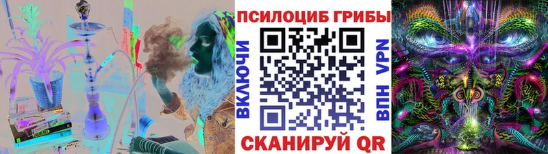 Галлюциногенные грибы Cubensis  blacksprut tor  Петровск-Забайкальский 